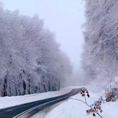 image-387147 Καιρός – Φλώρινα: Ο χιονισμένος δρόμος σε ένα παραμυθένιο σκηνικό που γίνεται viral