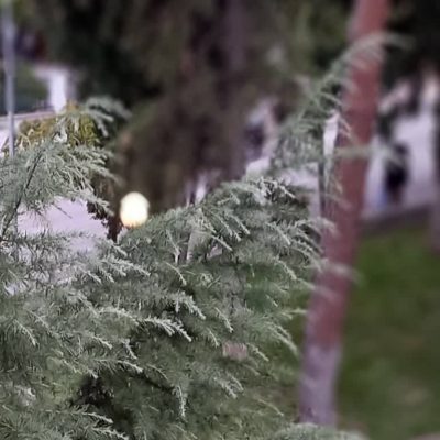 image-431896 Aναφορά αναγνώστριας στο kozan.gr: Τα φώτα στο παρκάκι του Αγ. Δημητρίου στην Κοζάνη ενώ έχει ξημερώσει συνεχίζουν να είναι ανοιχτά μέχρι τις 8 το πρωί. Κατά τ’ άλλα ζητούν από εμάς να κάνουμε οικονομία στο ρεύμα”
