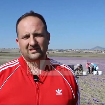 image-437867 Τα χωράφια τον Οκτώβριο στην Κοζάνη μοιάζουν με μωβ θάλασσες – Το βίντεο αφιέρωμα από το ΑΠΕ