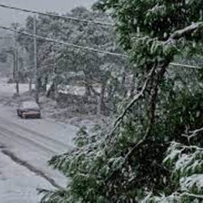image-441378 Εορδαία: Το χιόνι «έθαψε» κομμένα καυσόξυλα στα δάση